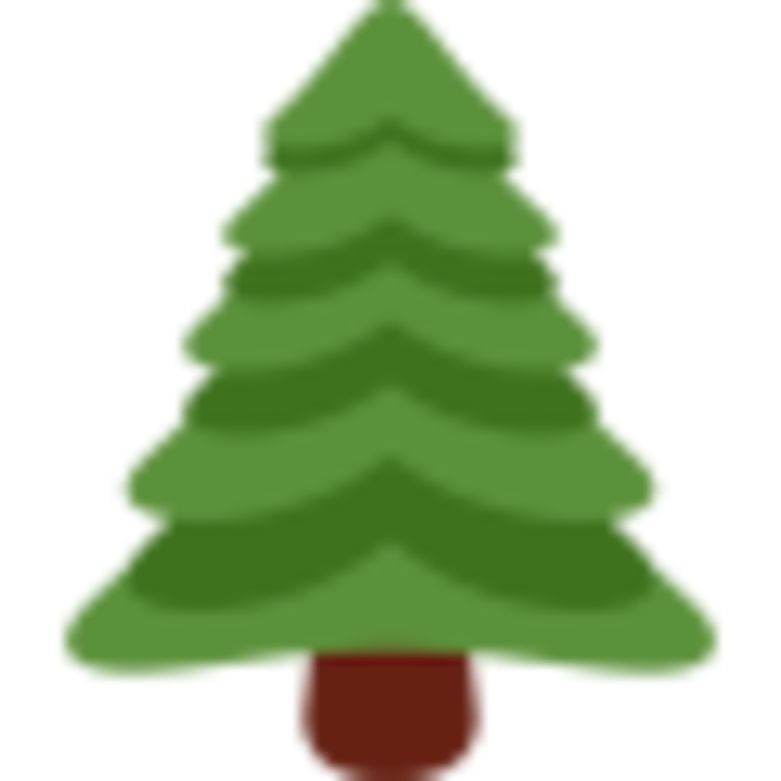 Four Corners Tree